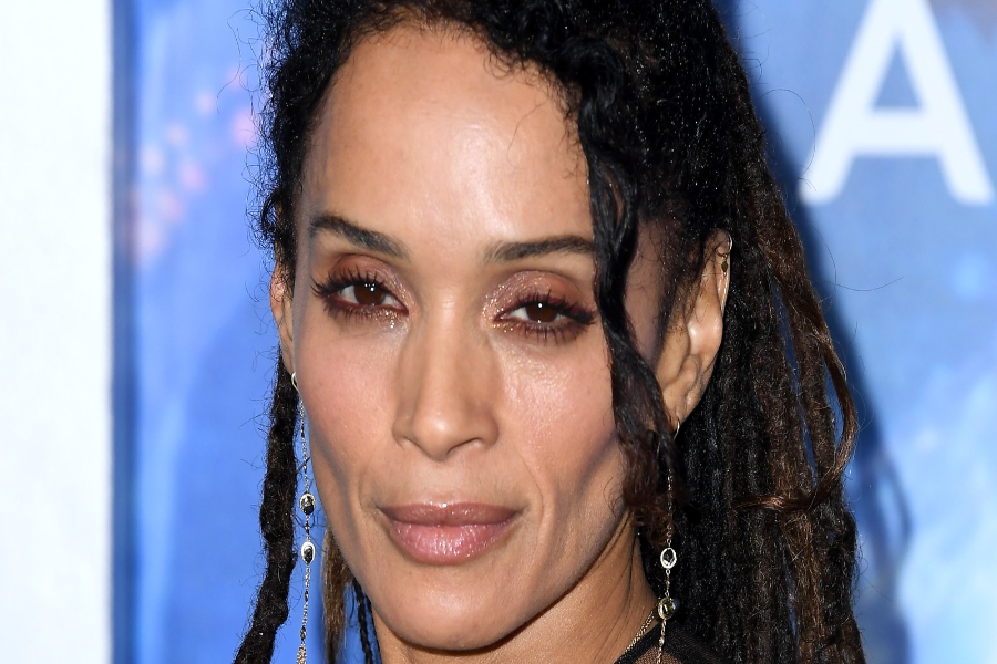Lisa Bonet Net Worth