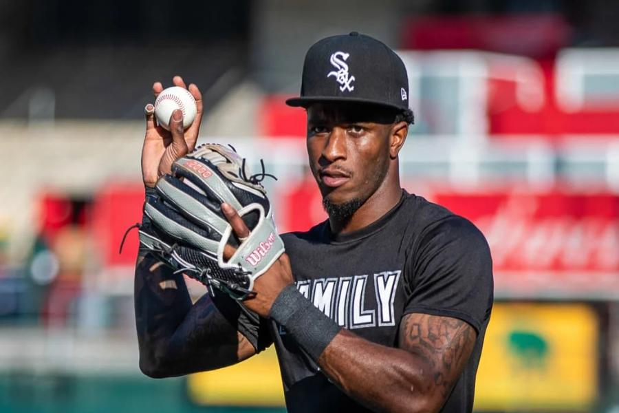 Snakeskin Baseball Glove