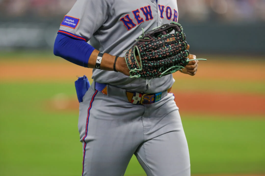 Snakeskin Baseball Glove