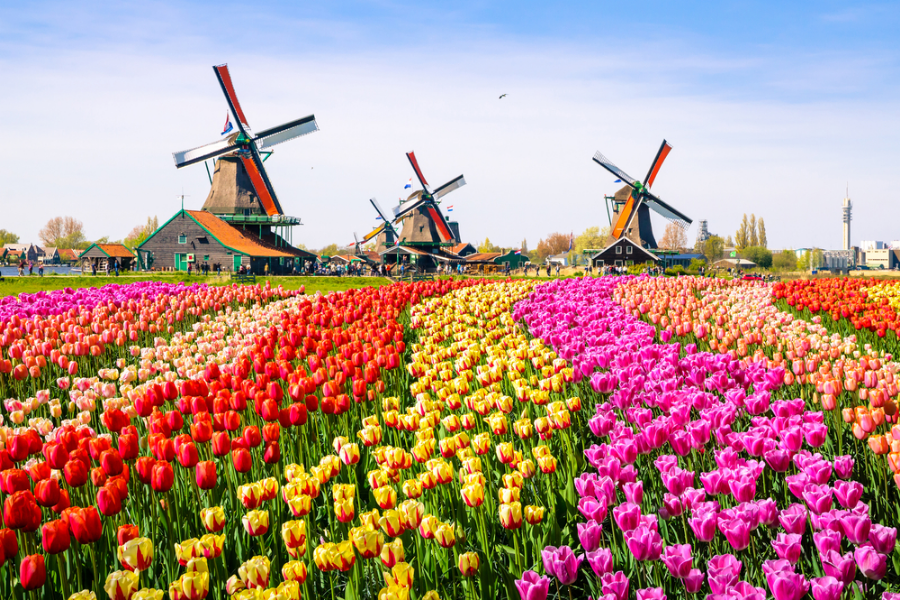 Netherlands Travel Itinerary