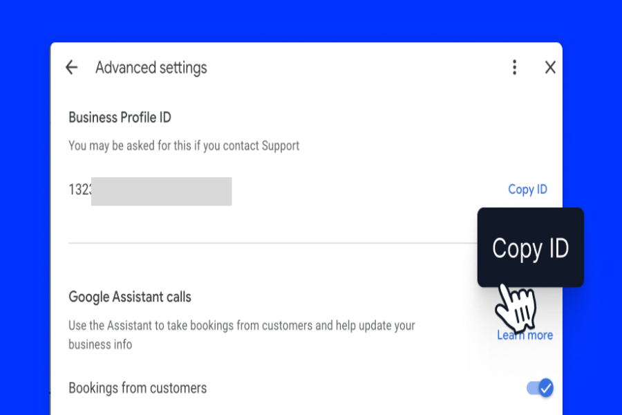 My Business Profile Id