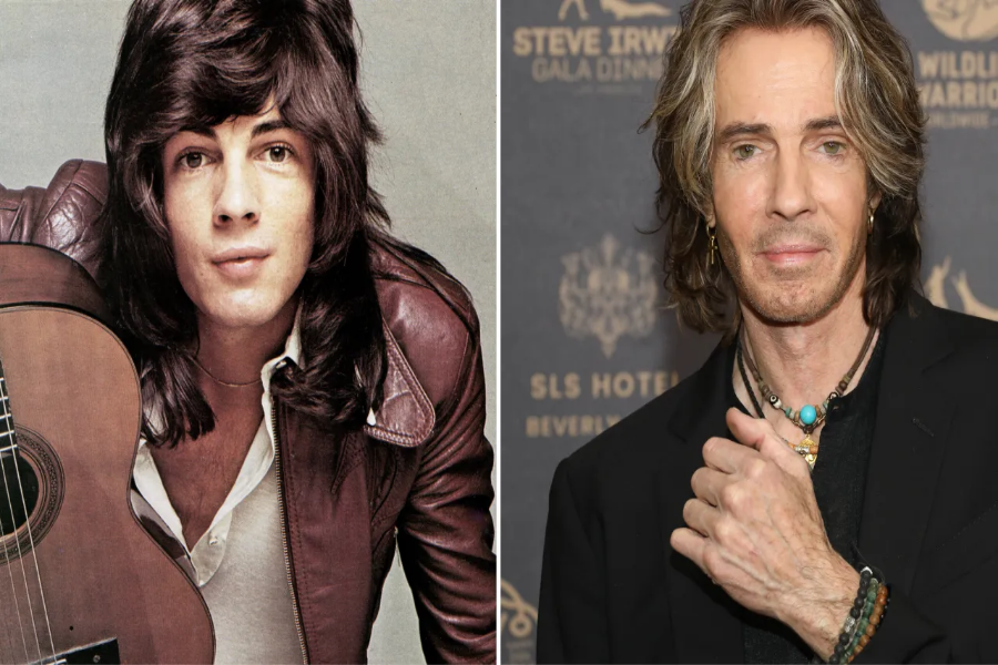 Rick Springfield Net Worth